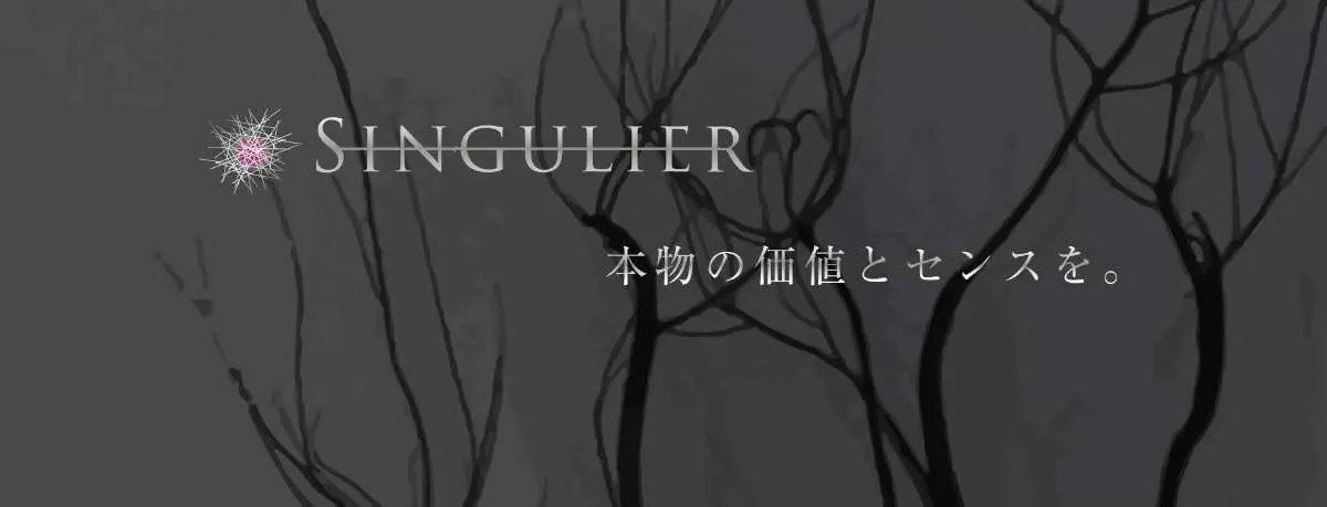 SINGULIER Key Visual